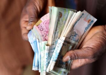 Nigerian Currency Plunges After Central Bank Rate Hike