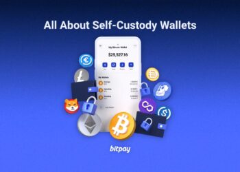 What are Self-Custody Wallets? [2024]