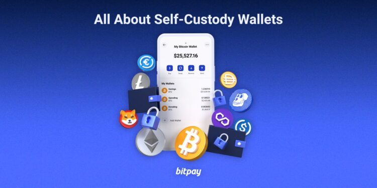 What are Self-Custody Wallets? [2024]