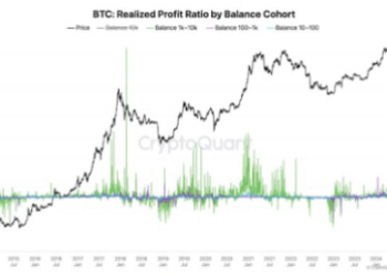 Bitcoin Whales Move Out Of Character With This Bull Market, What’s Happening?