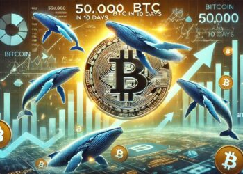 Bitcoin Whale Activity Hints At Upside: Big Players Bought 50,000 BTC In Just 10 Days