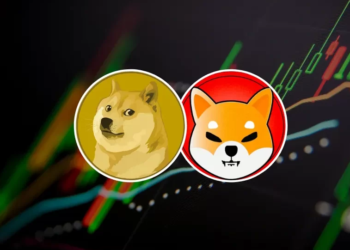 Shiba Inu And Dogecoin Price Notch Over 10% Gains In 24 Hours, What’s Driving It?