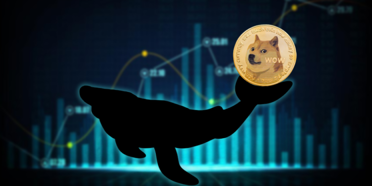 Dogecoin Millionaire Picks the Best Altcoins To Get Rich, RCOF Leads the Pack With Upcoming 6000% Run In 2025