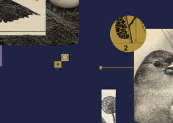 Goldfinch Crypto Dips 12%: Is Now The Time to Buy GFI? And Don’t Miss These Other RWA Coins