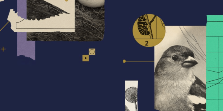 Goldfinch Crypto Dips 12%: Is Now The Time to Buy GFI? And Don’t Miss These Other RWA Coins