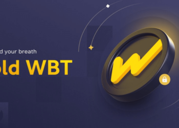 Top Crypto Gainers Today Oct 13 – Mina Protocol, Aave, Ronin, WhiteBit Coin