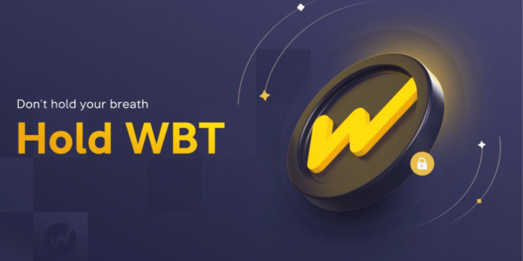 Top Crypto Gainers Today Oct 13 – Mina Protocol, Aave, Ronin, WhiteBit Coin