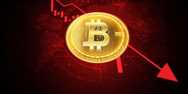 Bitcoin And Ethereum Addresses Shrink In 2024