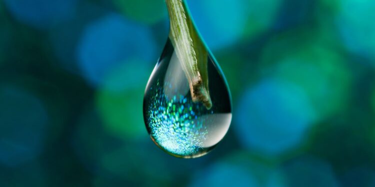 SUI Rallies 100%, But Signs Of Fatigue Emerge – Drop Incoming?