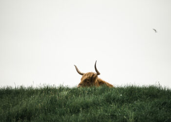 Bitcoin Bull Run To Resume Soon? Crypto Market Liquidity At Record Highs