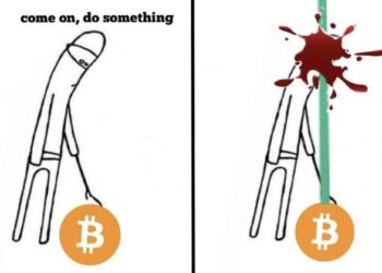 Bitcoin Crash Fuelled By Paper-handed New Holders: Here’s What Happened