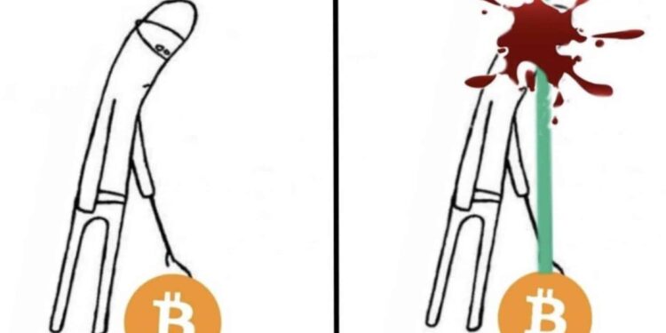 Bitcoin Crash Fuelled By Paper-handed New Holders: Here’s What Happened