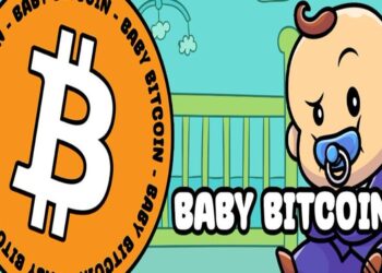 Trending Coins on GeckoTerminal – Baby BitCoin, First Convicted RACCON, Pepe