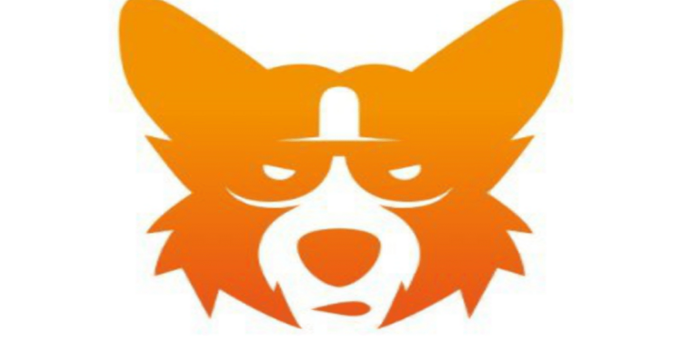 Best Meme Coins To Buy November 5 – TG.Casino, CorgiAI, Beam, Flockerz