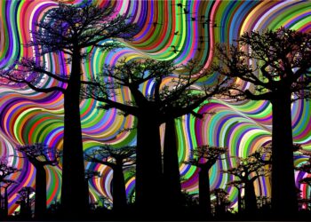 Africa Crypto Week In Review: Telegram Driving Growth, Coinbase Eyes Kenya as Morocco Reverses Crypto Ban But Will South Africa Win?