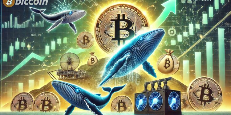 Bitcoin Miner Company Goes On A Buying Spree – Whales Expect Higher Prices