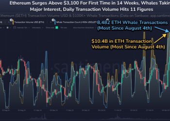 Ethereum Could Be Set To Explore New Highs As On-Chain Metrics Light Up