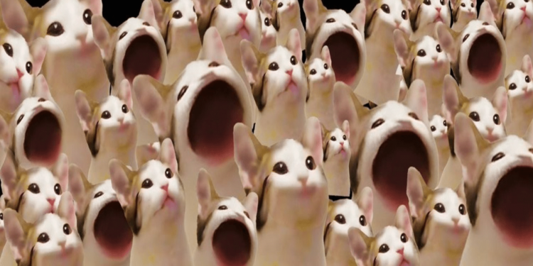 Top Trending Cryptos on GeckoTerminal Today – Simons Cat, Memes AI, MAGA, Popcat (Sol)