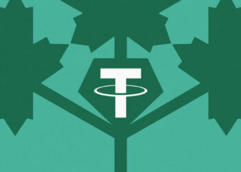 Gotcha! Tether Joins Forces With Canadian Authorities To Track Down Stolen Crypto