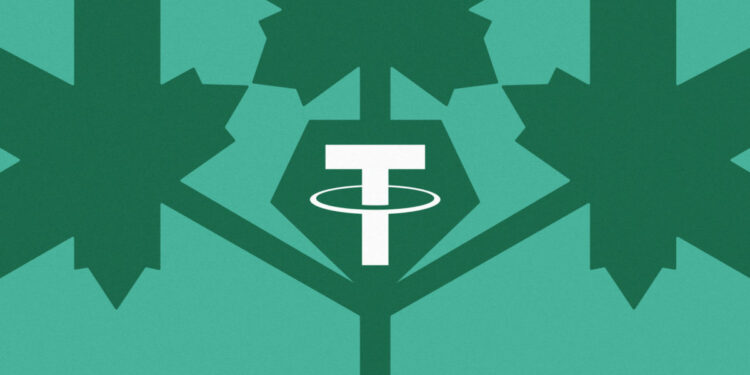 Gotcha! Tether Joins Forces With Canadian Authorities To Track Down Stolen Crypto