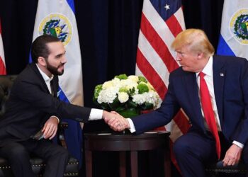 El Salvador Leader and Trump Discuss High Stakes: Dangerous Past and Future Strategy