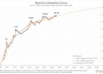 Fidelity Investments Director Shares Bitcoin’s Adoption and Valuation Models