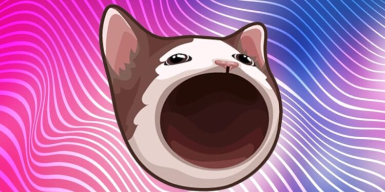 Popcat Soars To New Highs: Strongest Narrative?