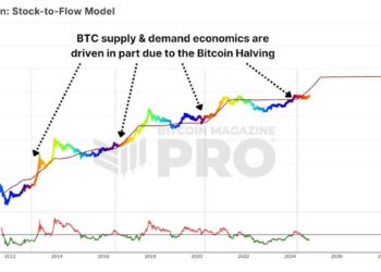 Half Way Through The 4 Year Bitcoin Cycle