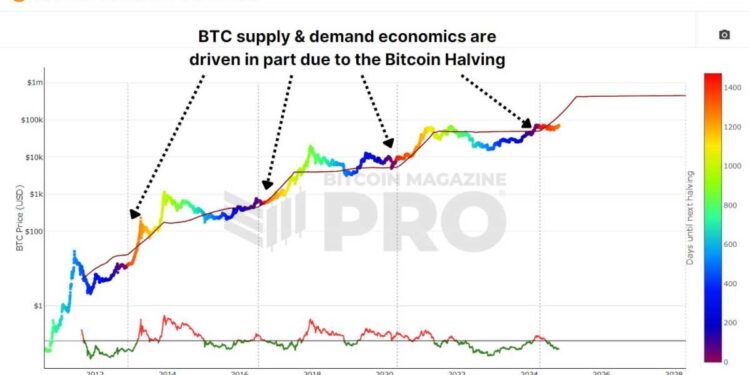 Half Way Through The 4 Year Bitcoin Cycle