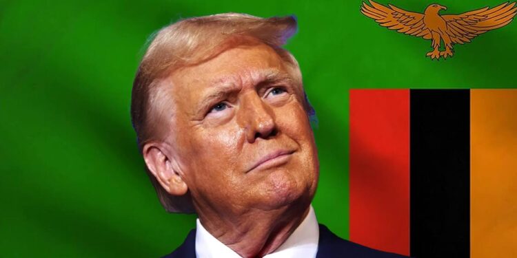 Trump’s Dollar Boom Spells Doom for Zambia’s Recovery