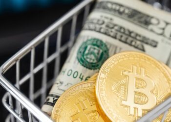 Bitcoin’s High Price Tag: Is It Alienating Retail Investors?