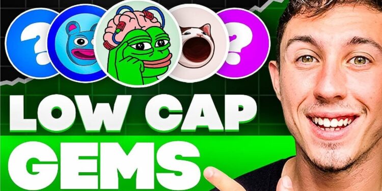 5 Best Low Market Cap Meme Coins to Invest in December 2024