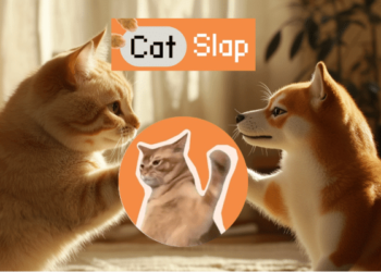 Catslap Soars 85% Amid Speculation Of Major Exchange Listings