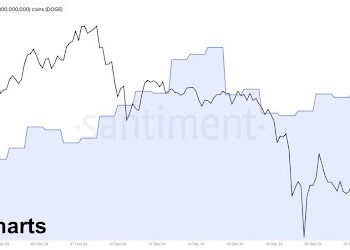 Dogecoin Whales Go On 270 Million DOGE Buying Spree As Crash Provides Low Entry