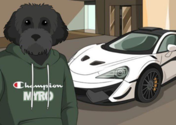 Trending Meme Coins to Watch Now, December 22 – Baby Doge Coin, Popcat (SOL), Myro