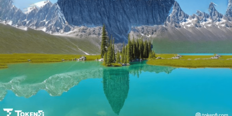 Best Meme Coins to Buy Today Tuesday, December 3 – Tokenfi, Dingocoin, Chinese Doge Wow