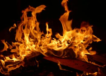 Shiba Inu Burns Spike 7,418% In One Week