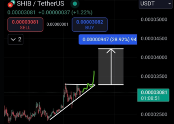 Shiba Inu Braces For Rally
