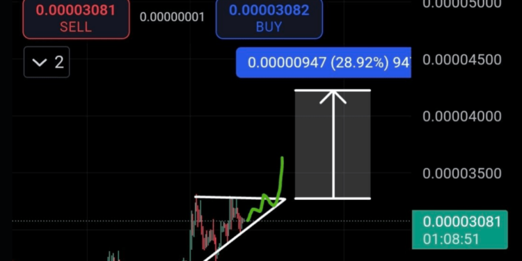 Shiba Inu Braces For Rally