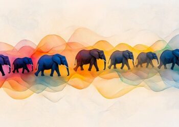 Africa Crypto Week in Review: Former Twitter Founder Attends Bitcoin Conference in Nairobi, Nigeria’s Wallet Adoption Boom, As Bybit Expands