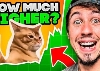 Catslap Meme Coin Price Prediction