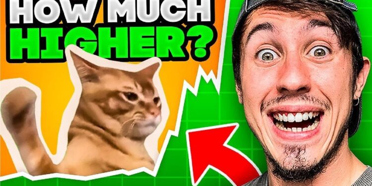 Catslap Meme Coin Price Prediction