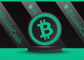 Community Fundraising Effort Launched to Secure Bitcoin Cash API Service