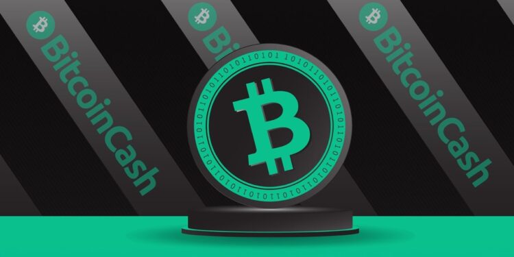 Community Fundraising Effort Launched to Secure Bitcoin Cash API Service