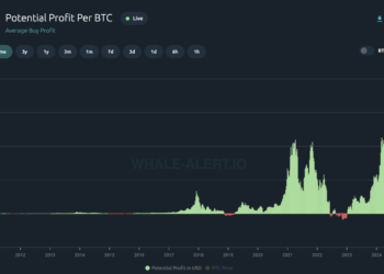 Bitcoin Investors Are Now Up $67,000 On Average – And This Is  Just The Start
