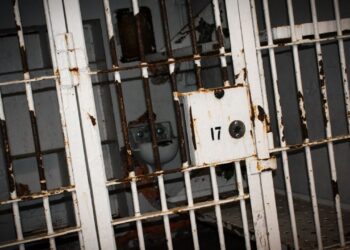 Bitcoin Millionaire Faces Prison: The Price of Hiding $4 Million in Gains