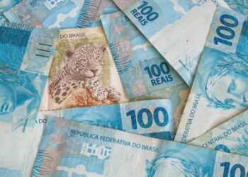 Brazilian Congresswoman Sounds Alarm on Drex CBDC Risks, Rejects Cash Elimination Bill