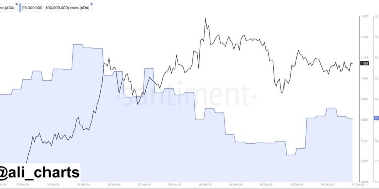 Ethereum Whales Eye Rising AI Altcoin Predicted To Outperform Cardano And Shiba Inu By Q2 2025