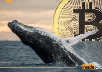 Bitcoin Whale Loses $13 Million In Just 6 Days