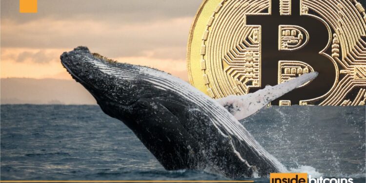 Bitcoin Whale Loses $13 Million In Just 6 Days
